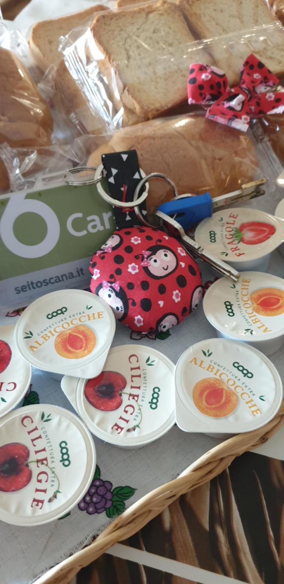 Ladybug Poggibonsi
